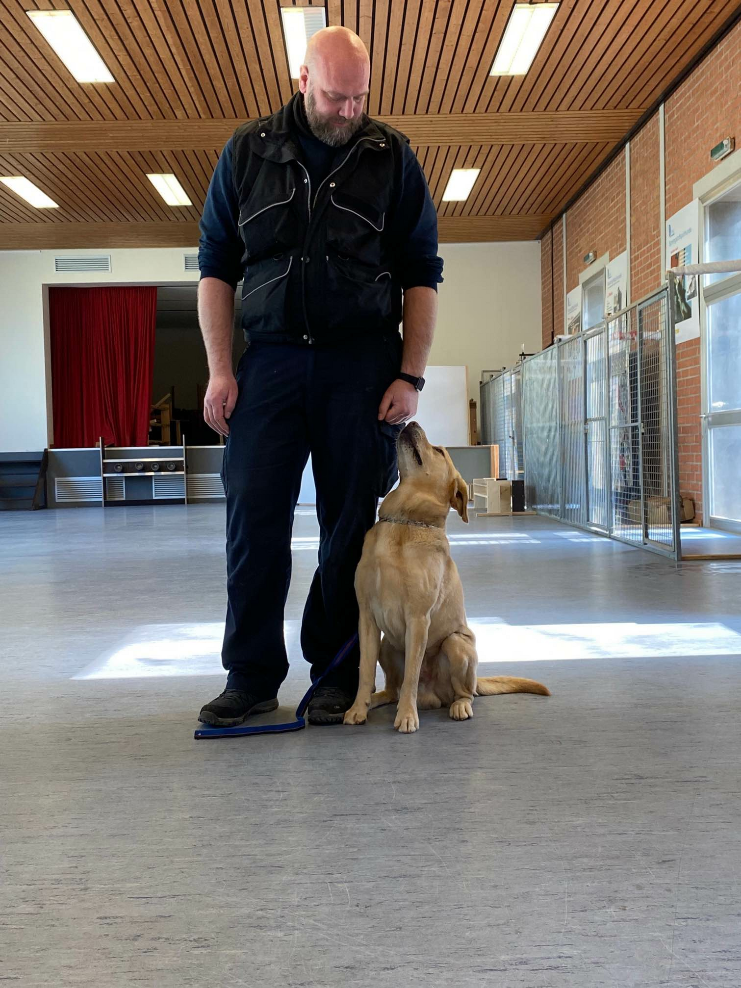 In der Zollhundeschule